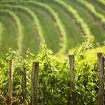 Clos Mirabel Manor - Bed and breakfast 4*