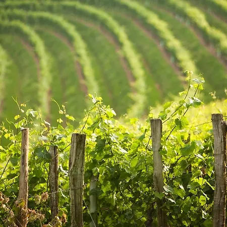 Clos Mirabel Manor - Bed & Breakfast 4*
