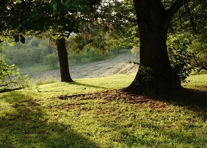 Clos Mirabel Manor - Bed & Breakfast Jurançon