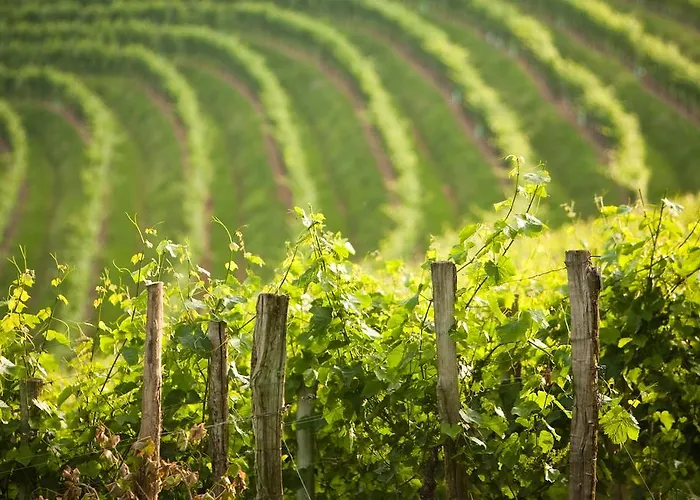 Clos Mirabel Manor - Bed & Breakfast 4*